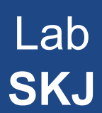 Lab Riset Sistem Komputer & Jaringan 
